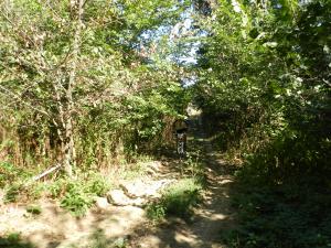 DSCN1579.jpg
