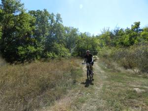 DSCN1590.jpg