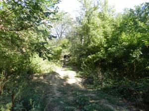 DSCN1576.jpg