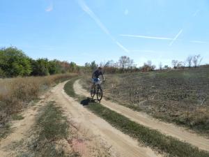 DSCN1557.jpg