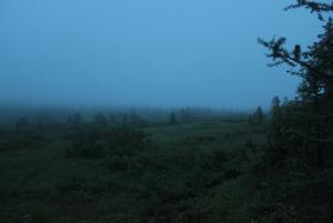 20140725-221103.JPG