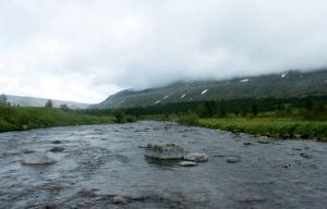 20140727-131458.JPG