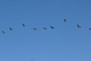 P1360464.JPG