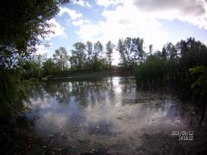FILE0046.JPG