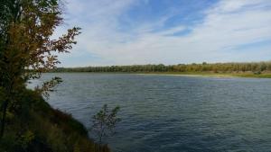 IMG_20150913_114705.jpg