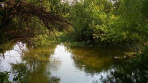 IMG_20150903_101014.jpg