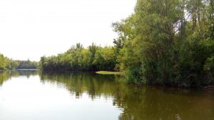 IMG_20150903_113551.jpg