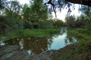 IMG_2857-Edit-(копия).jpg