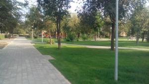 IMG_20150911_164649.jpg