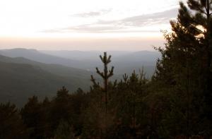 IMG_3820M.JPG