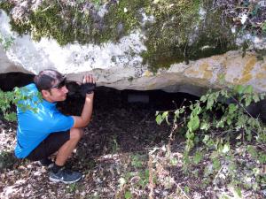 IMG_3740M.JPG