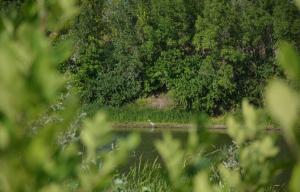 DSC_2583.JPG