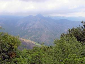 IMG_1331M.JPG