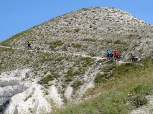 IMG_5792M.jpg