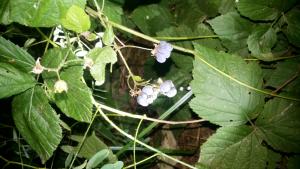 20160908_214959.jpg