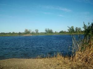 post-1605-0-30284900-1506379144_thumb.jpg