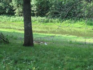 IMG_0016.JPG