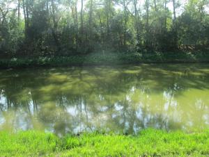 IMG_0062.JPG