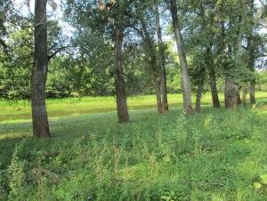 IMG_0015.JPG