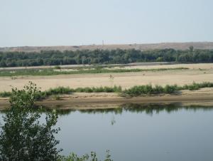 IMG_0019.JPG