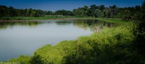DSC_0021-3.JPG