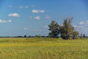 DSC_7947.jpg