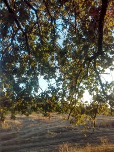 IMG_20170901_182005_HDR.jpg