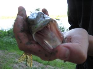 IMG_5447.JPG