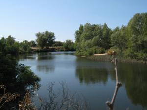 IMG_5346.JPG