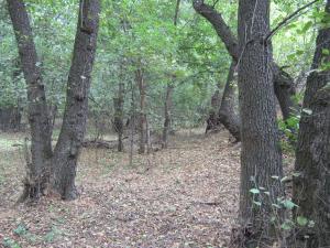IMG_5501.JPG