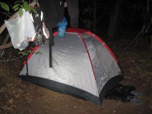 IMG_5456.JPG