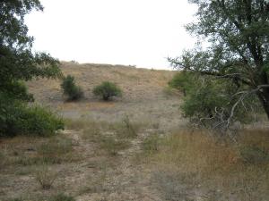 IMG_5489.JPG