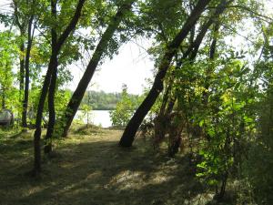 IMG_5406.JPG