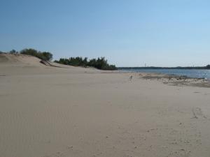 IMG_5266.JPG