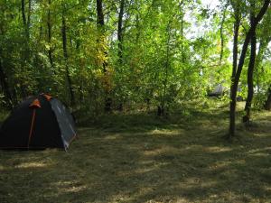 IMG_5405.JPG