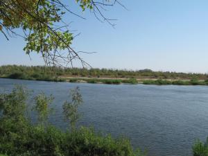 IMG_5417.JPG