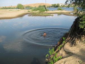IMG_5379.JPG