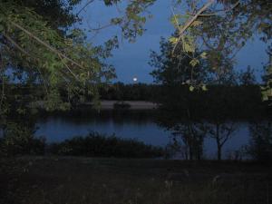 IMG_5230.JPG