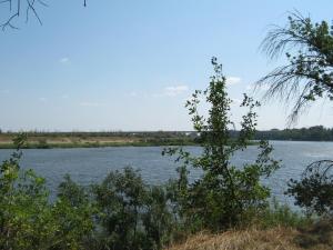 IMG_5246.JPG