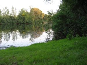 IMG_5331.JPG