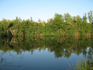 IMG_5313.JPG