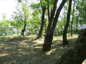 IMG_5244.JPG
