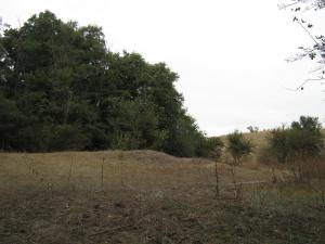 IMG_5502.JPG