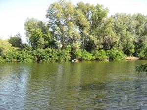 IMG_5372.JPG