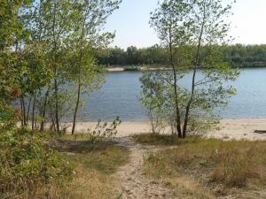 IMG_5466.JPG