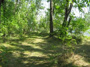 IMG_5243.JPG