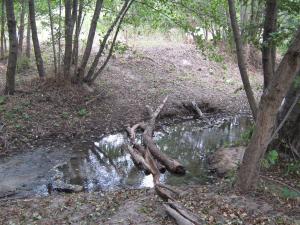 IMG_5492.JPG