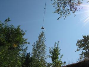 IMG_5356.JPG