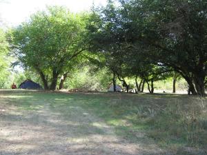 IMG_5341.JPG