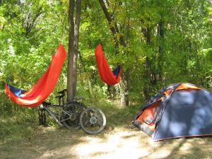 IMG_5428.JPG
